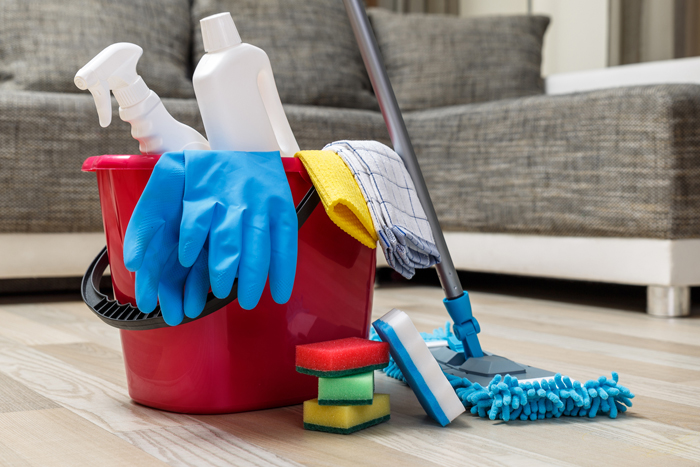 Cleaning instruments for residential or commercial cleaning services